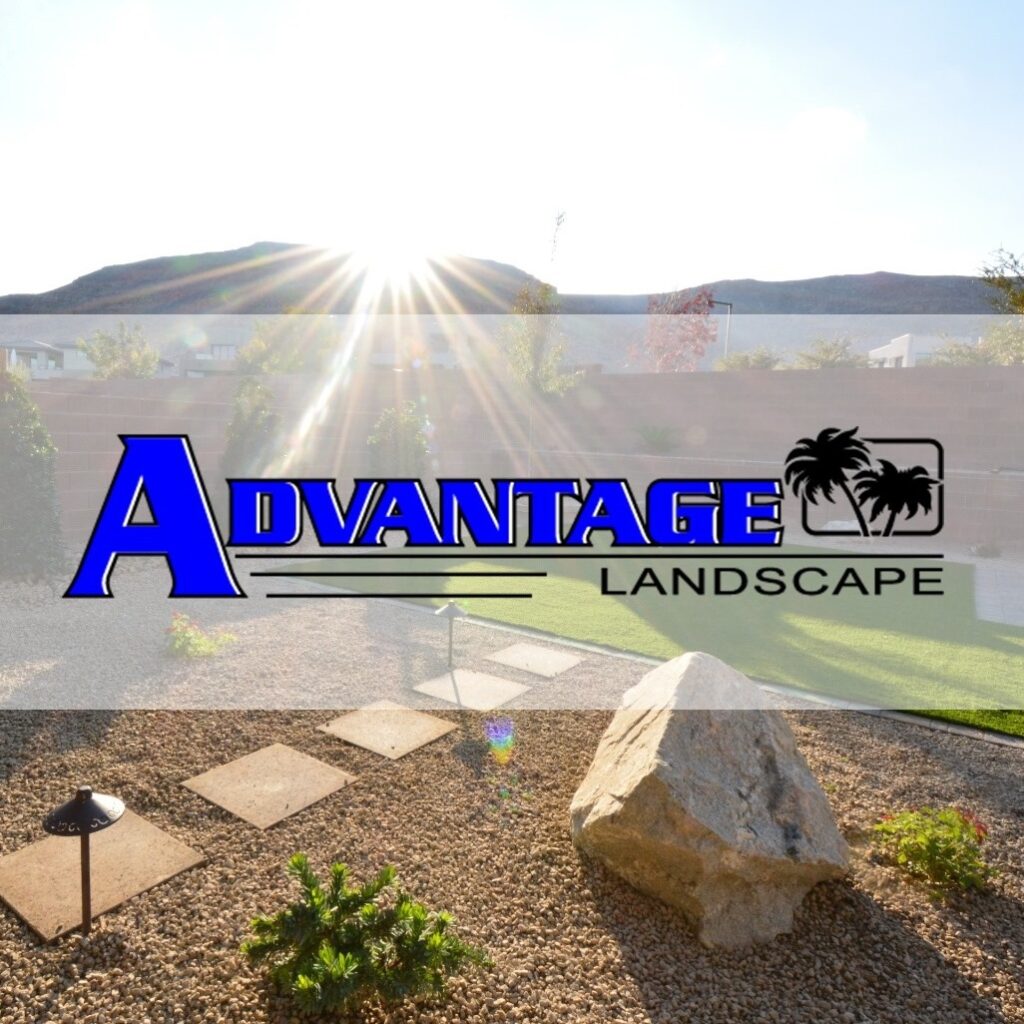 Advantage Landscape